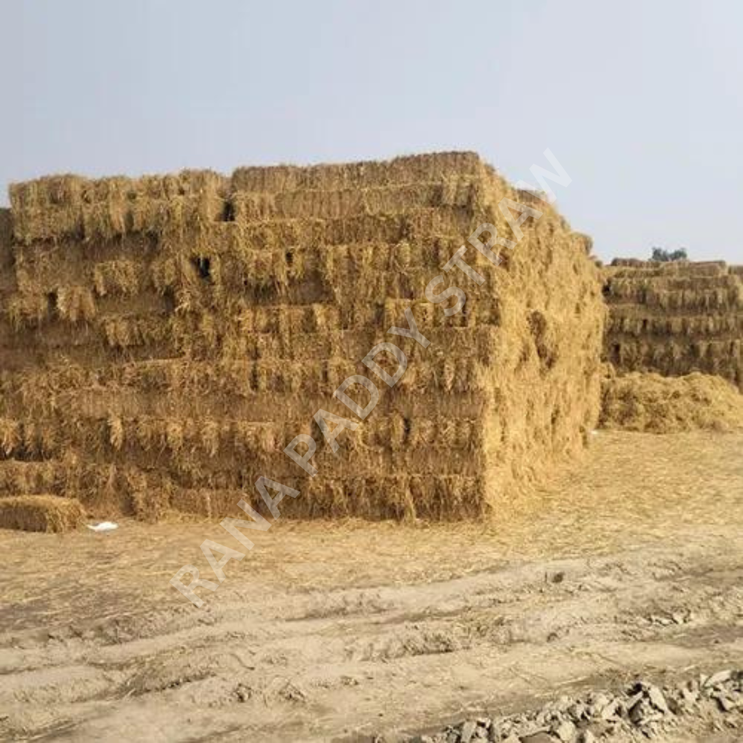Square Paddy Straw Bales